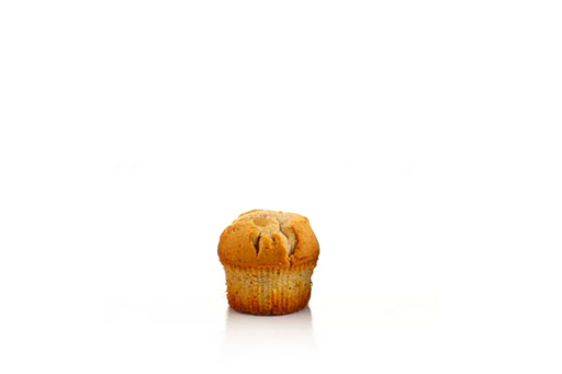 [Cup Cake Walnuts] Cupcakes (Walnut)